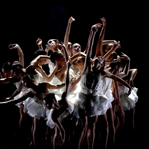 Ballets Preljocaj Η λίμνη των κύκνων | Μια σύγχρονη ανάγνωση του διάσημου κλασικού μπαλέτου από τον Angelin Preljocaj