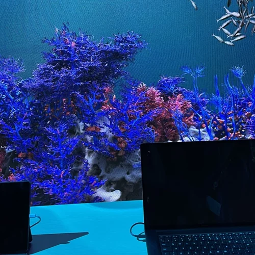 Σε ένα ταξίδι στην Κωνσταντινούπολη είδαμε το μέλλον της τεχνολογίας