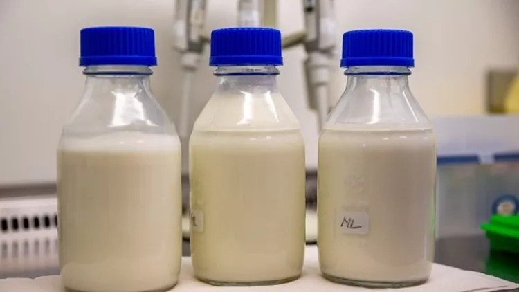 βρεφικο γαλα