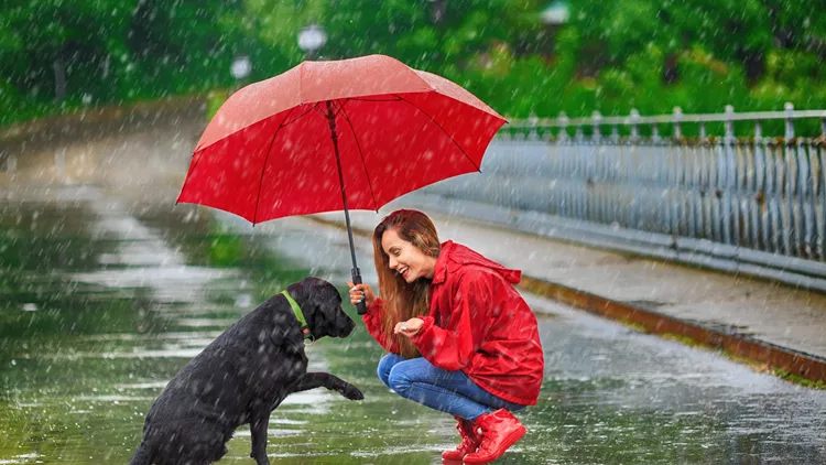 rainy day