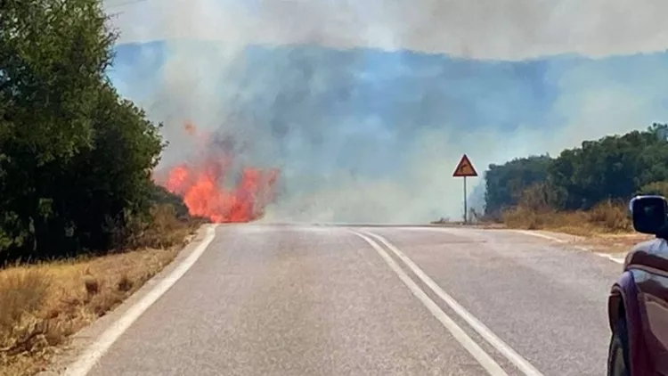 πυρκαγιά