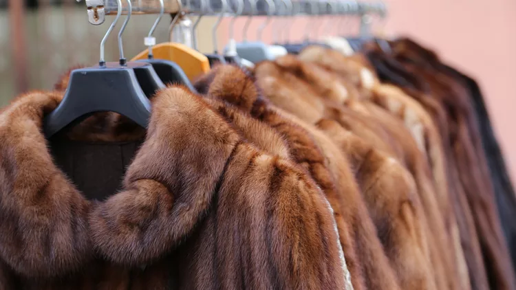 fur