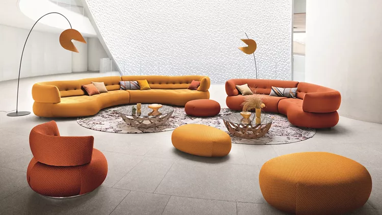 roche bobois