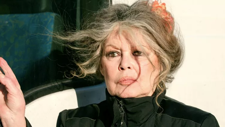 brigitte bardot