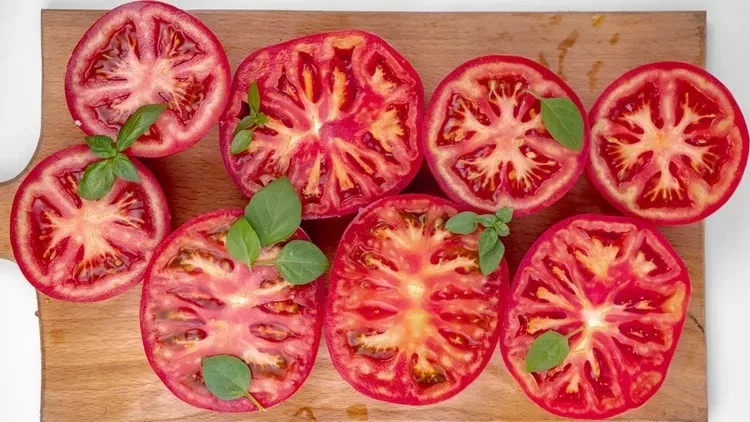 tomato flight