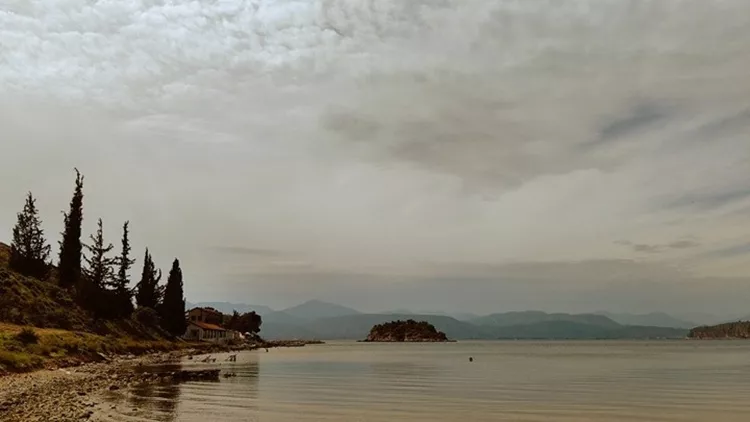 σκονη