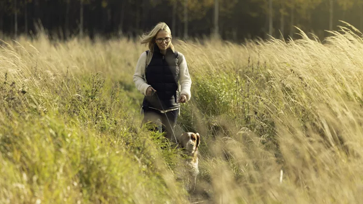 Walking the dog during fall