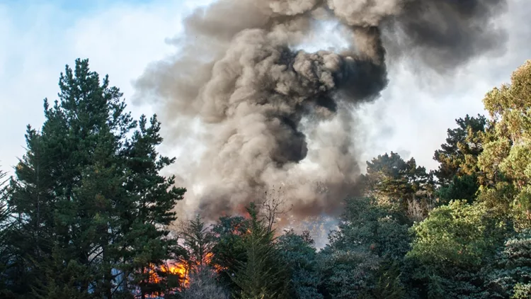 Νέα φωτιά στη Εύβοια: Ξέσπασε σε δασική έκταση στις Πετριές - Πνέουν ισχυροί άνεμοι [εικόνες]