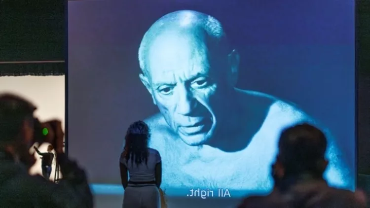 πινακας Picasso