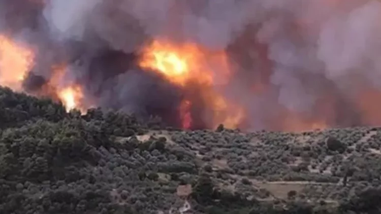 Φωτιά στην Εύβοια | Καίγονται σπίτια, εκκενώθηκαν 12 χωριά, απειλείται μοναστήρι - Μοναχοί αρνούνται να το εγκαταλείψουν