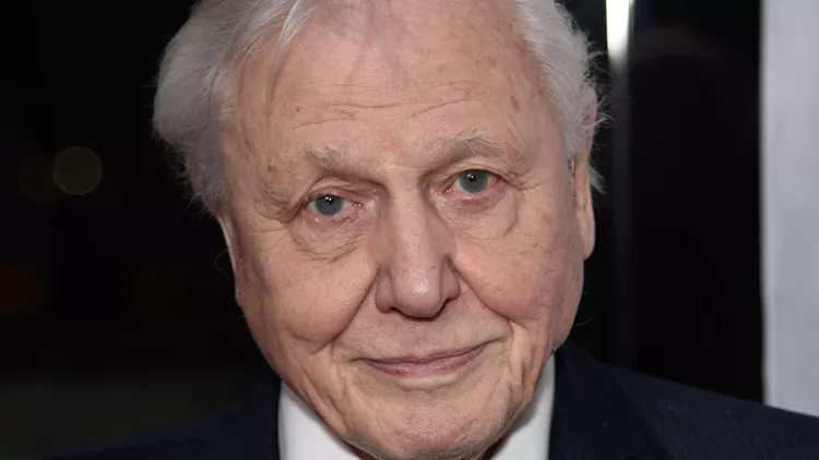 Σερ David Attenborough