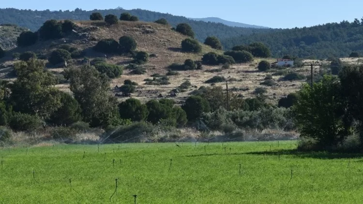 Μυτιλήνη