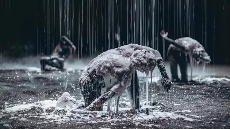 στεγη