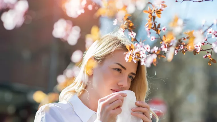 Woman sneezing in the blossoming garden
