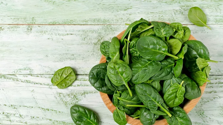 Spinach rich in vitamins and minerals
