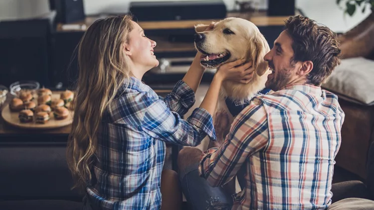 Happy couple enjoying with their golden retriever in the living room.