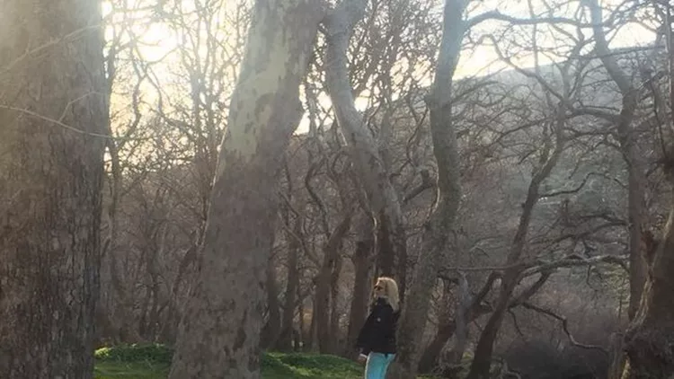 Ελένη Μενεγάκη