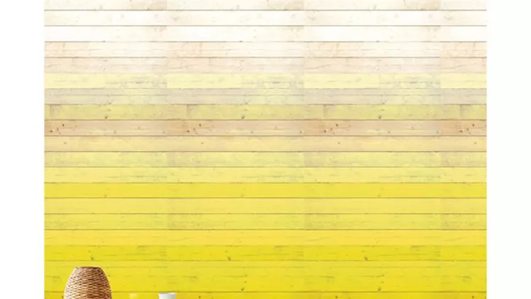 ombre-effect-house