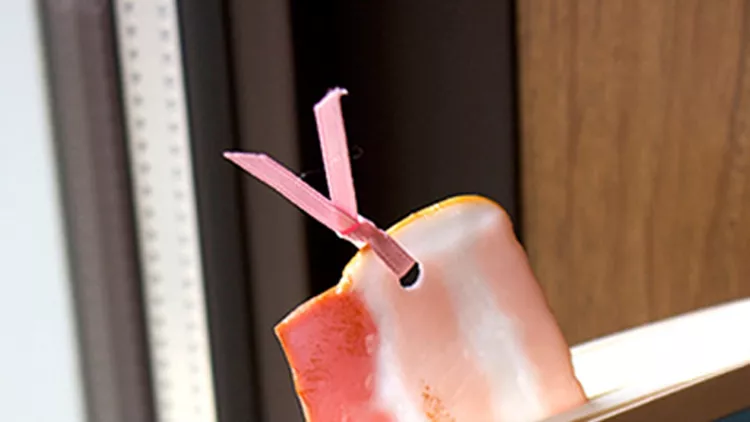 BOOKMARK-BACON