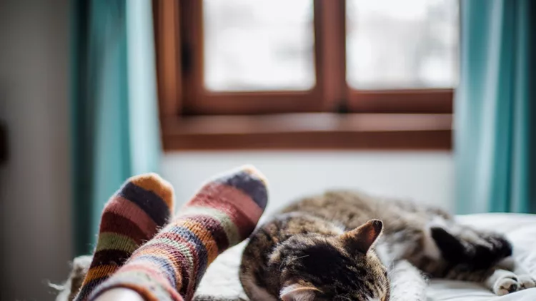 To φθινόπωρο ήρθε και επίσημα