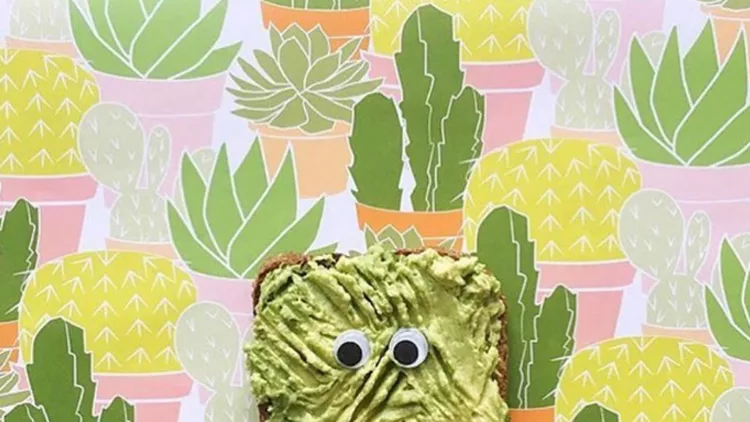 avocadoshow