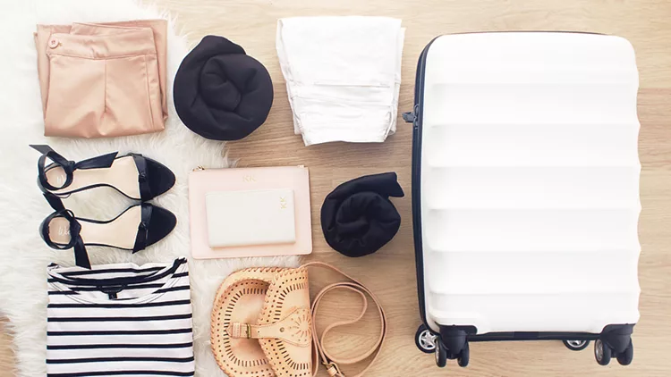 bags-to-go_antler-suitcase_how-to-pack-staycation_1