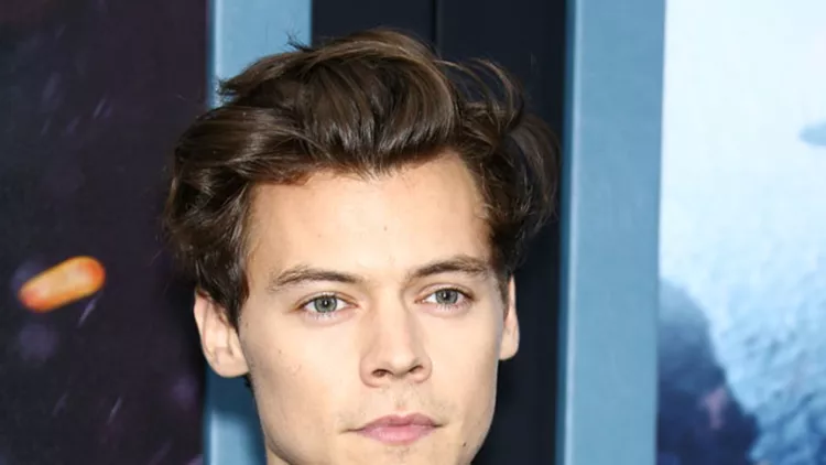 Harry Styles attends the US Premiere of Dunkirk