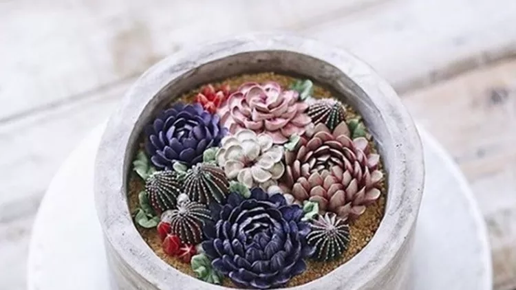 Terrarium Cakes
