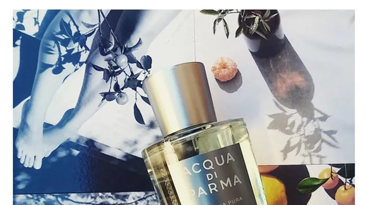instaseptdiparma copy