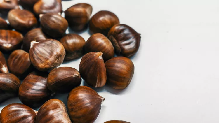 shutterstock_774152761