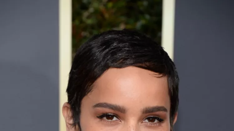 75th Annual Golden Globes Awards - LA - Arrivals