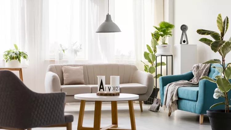 shutterstock_796983793