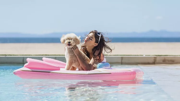 Convertible-Dog-Float-59