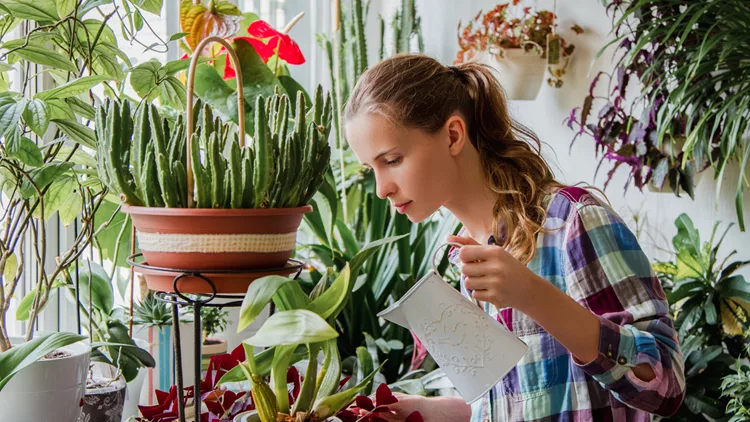 The attractive woman watering flowers