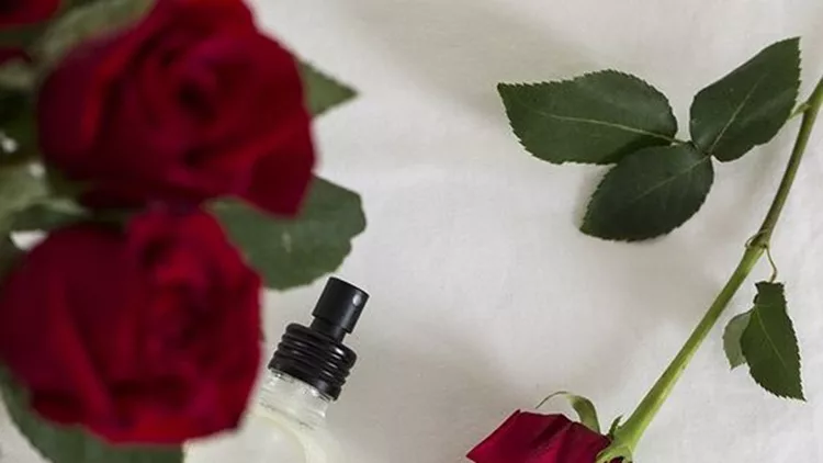 5fb60d64fad5b07689eeb3442741d055