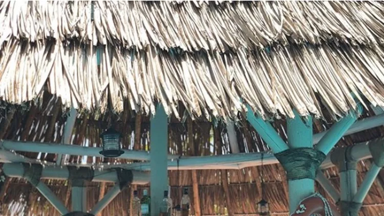 Σίσσυ Χρηστίδου