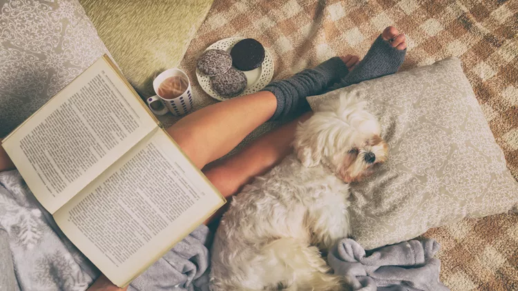 Woman lying on bed with dog