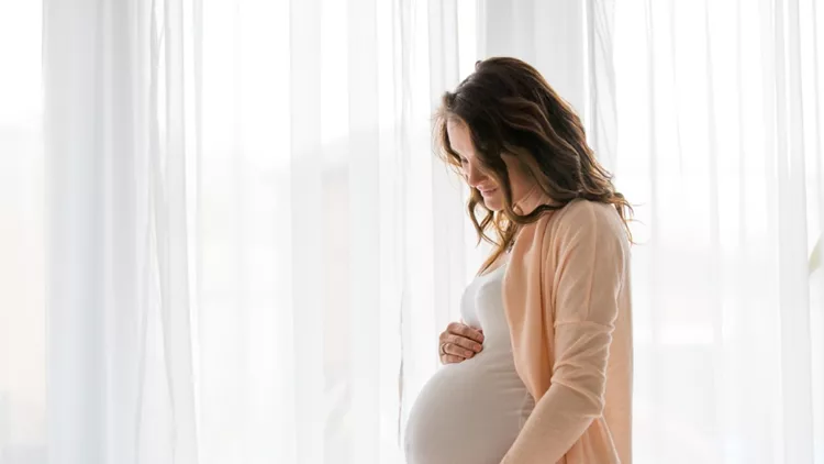 portrait-of-young-pregnant-attractive-woman-standing-by-the-window-picture-id883957938