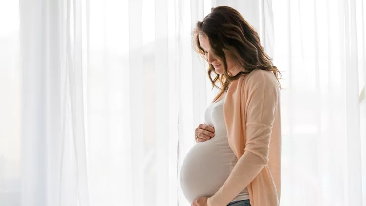 portrait-of-young-pregnant-attractive-woman-standing-by-the-window-picture-id883957938