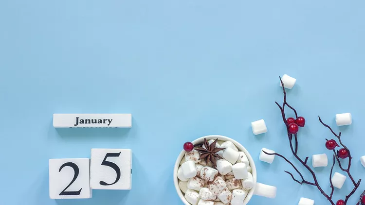 Calendar January 25 Cup of cocoa, marshmallows and branch berries