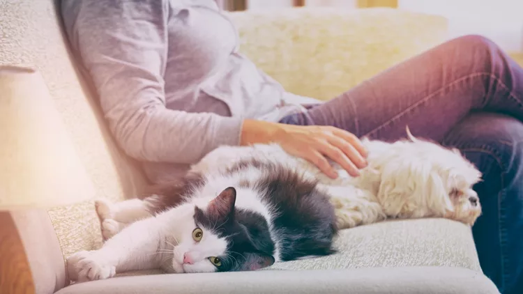 Woman with her pets