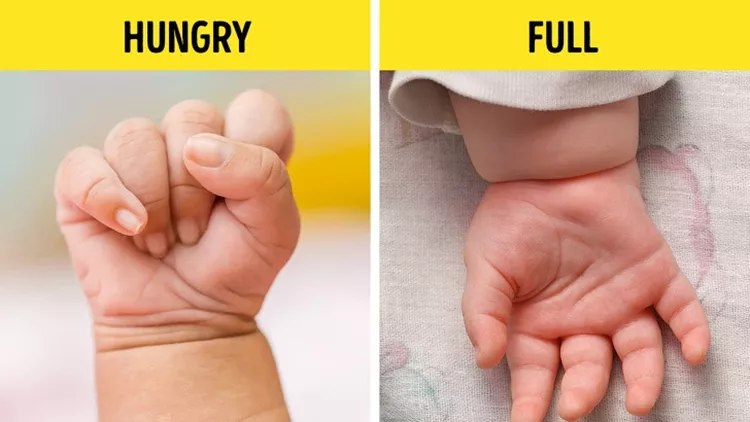 glwssa-somatos-morou