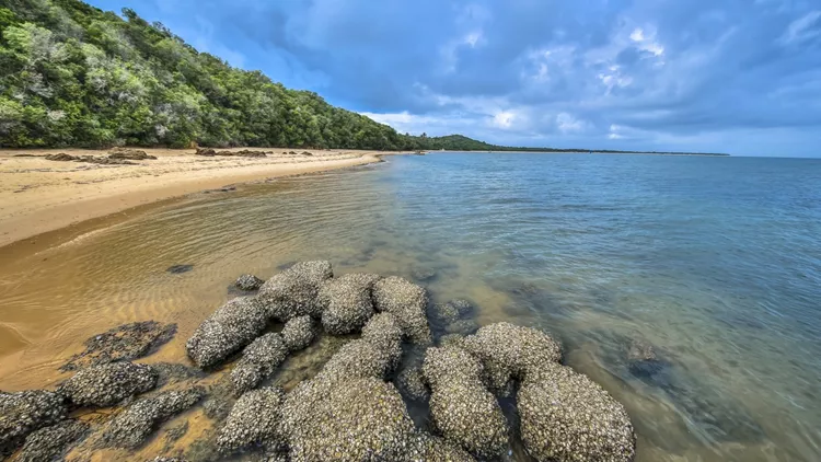 Inhaca Island