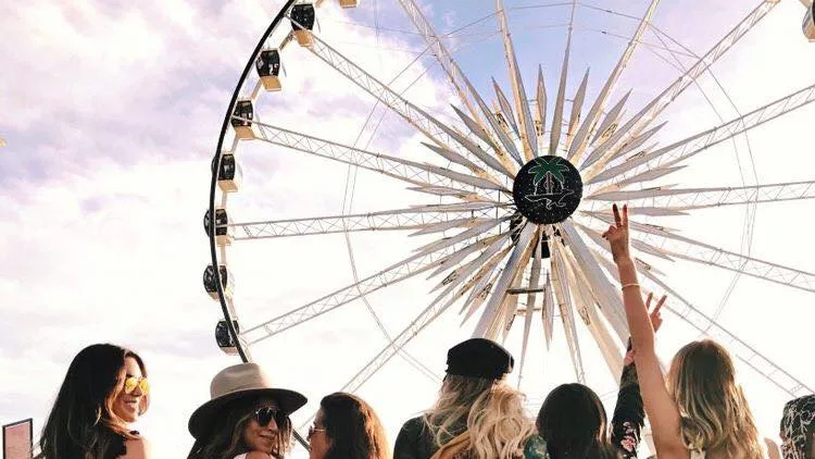 50463096_638861223197168_6981127816733523968_n