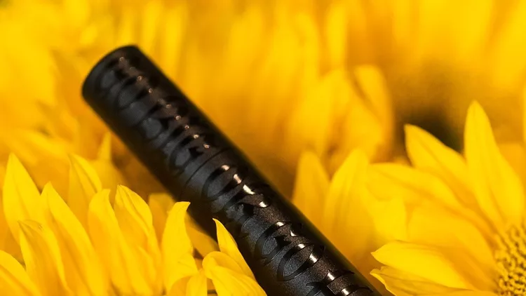 GBOGHMASCRA_SUNFLOWER_V1