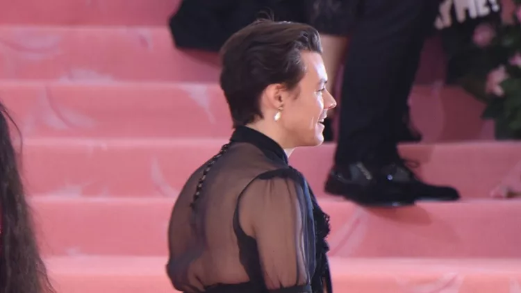 The 2019 Met Gala Harry Styles