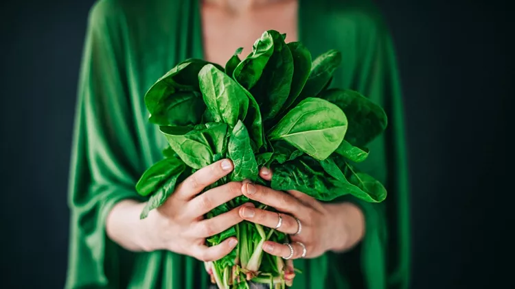 Young woman holding spinach leafs salad