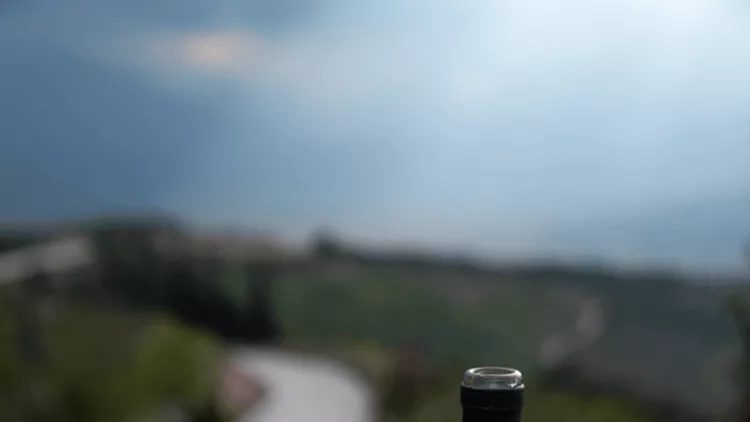 SEMELI DELEAR