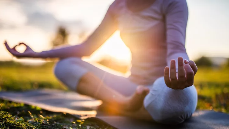 Close up of meditation in park at sunrise.