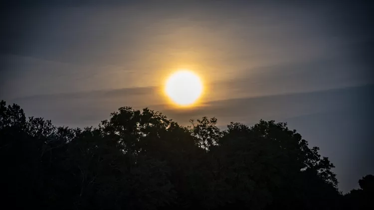 Full Moon over Trees